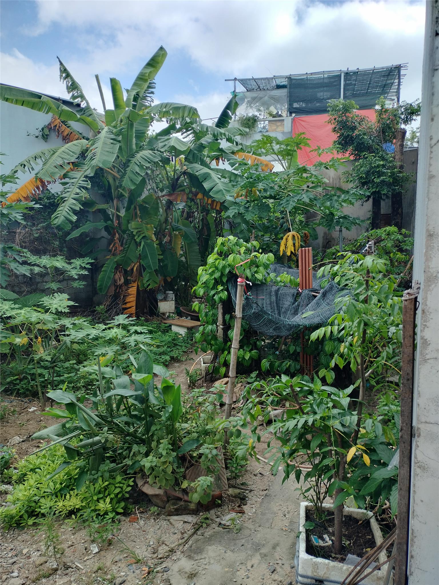 🌟 LÔ ĐẤT HIẾM – ĐẸP – RỘNG NGAY HÒA THỌ ĐÔNG – CHỈ 2,8 TỶ!